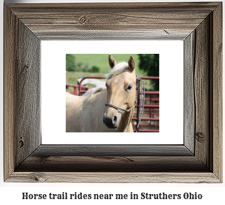 horse trail rides near me in Struthers, Ohio